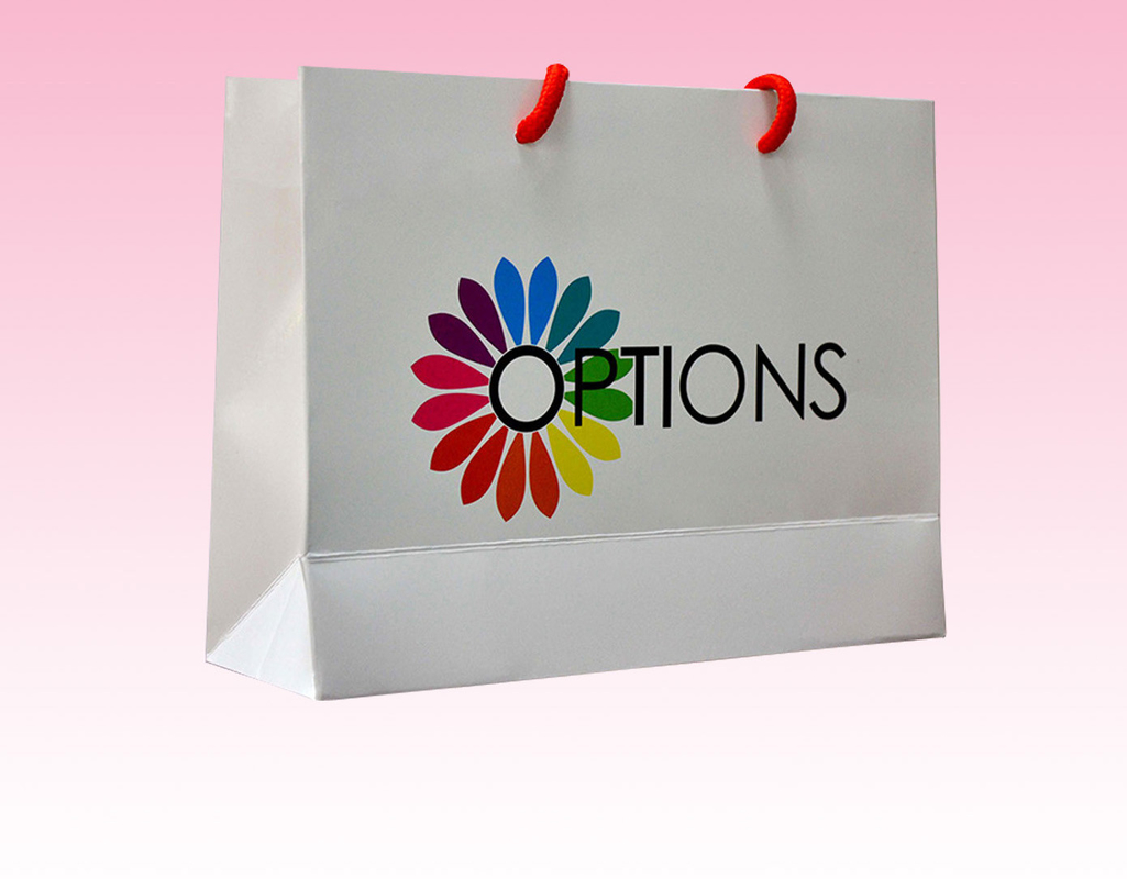 custom cheap large paper bags for  restaurant with cotton handle