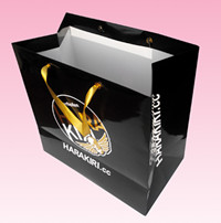 custom printed striped paper shopping bags manufacturer with handle