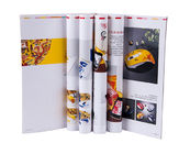 custom color commercial product brochure printing services online manufacturer