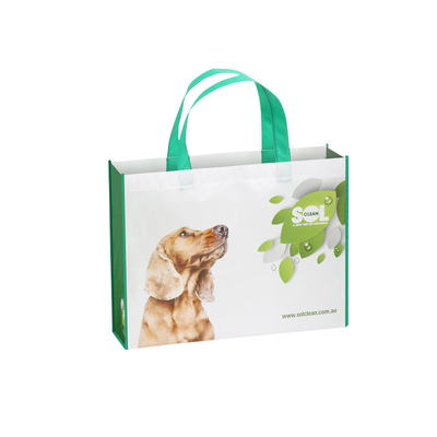 Printed Recycled PP Woven Shopping Bag Bopp Laminated Personalised Bags Manufacturer